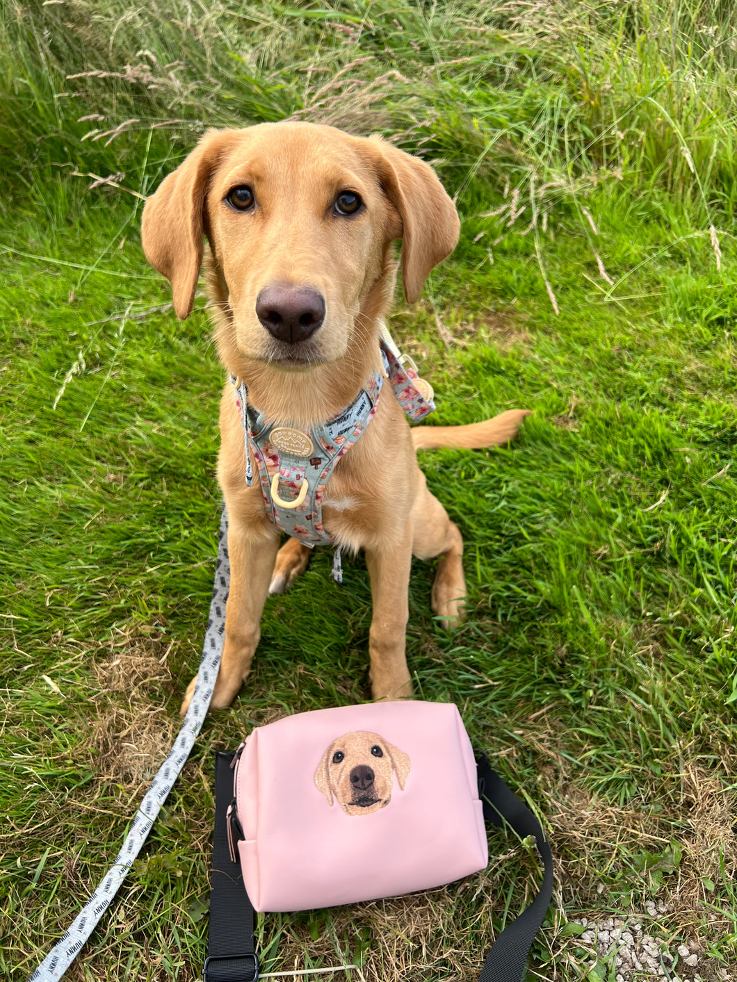 Personalised Pet Cross Body Bag